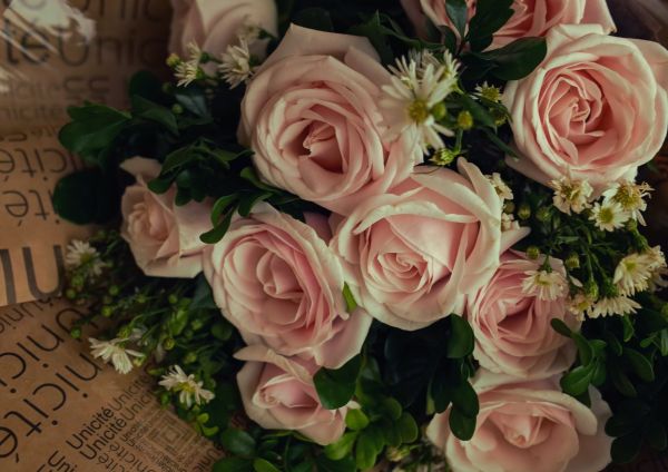 Le Romantique