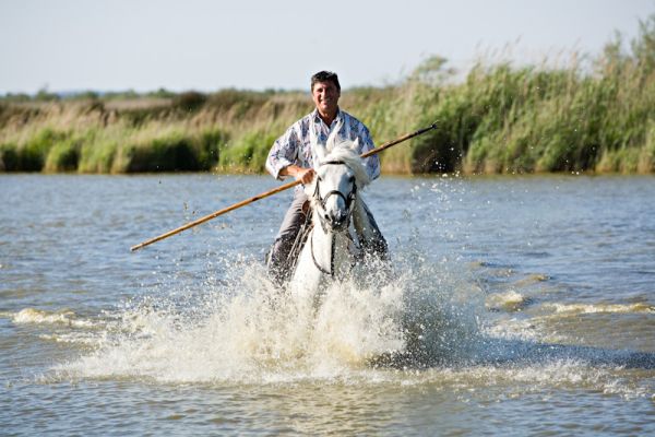 DECOUVERTE NATURE ET CHEVAL