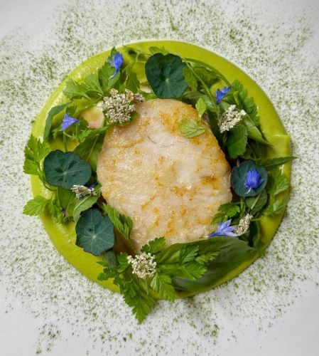 Menu Découverte  en 4 Plats