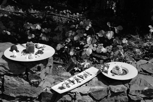 Séjour Art & Gastronomie