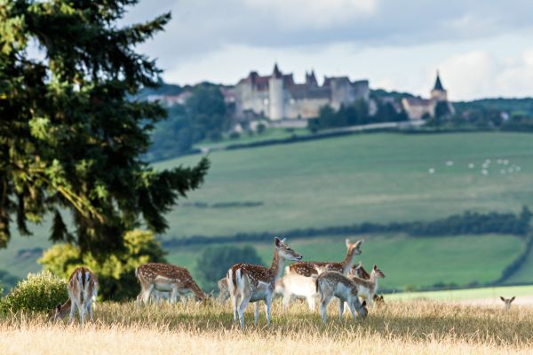 PARENTHÈSE À SAINTE SABINE en Chambre Tradition avec menu en 3 services