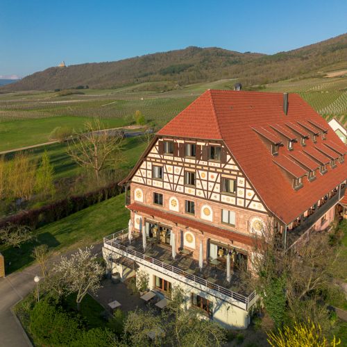 Découverte de la route des vins
