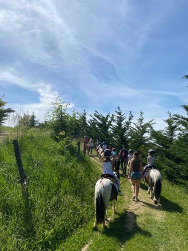 Balade à poney 1h15