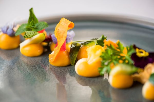 Menu [ Tradition & Imagination ]